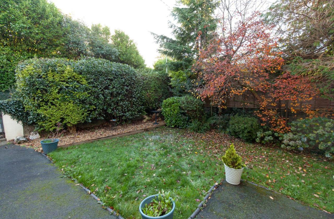 Bodwyn Country Cottage North Wales **By Seren Property** Dolgellau Eksteriør bilde